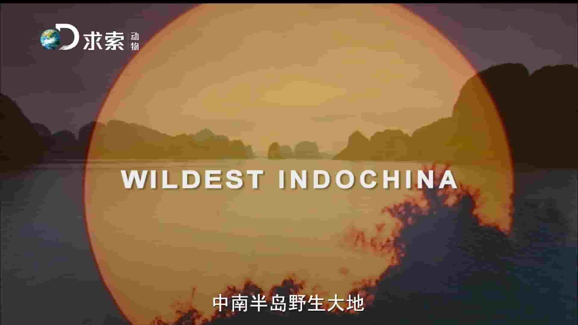 求索纪录《中南半岛野生大地 Wildest Indochina》全5集 英语中字 1080P高清网盘下载