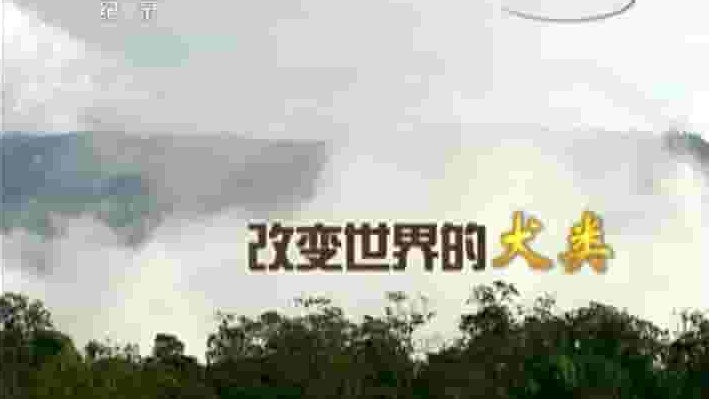 PBS纪录片《狗改变世界/改变世界的犬类/改变世界的犬类 Dogs That Changed The World 2009》全2集 国语中字 720p高清网盘下载