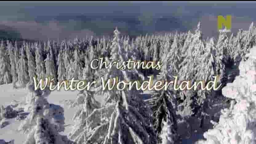 WDR纪录片《德国圣诞奇境 Christmas Winter Wonderland 2014》全1集 英语无字 720p高清网盘下载