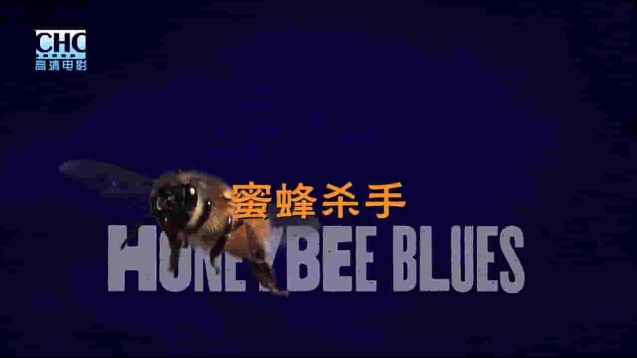 CHC纪录片《蜜蜂杀手 Honeybee Blues 2009》全1集 英语中字 720P高清网盘下载