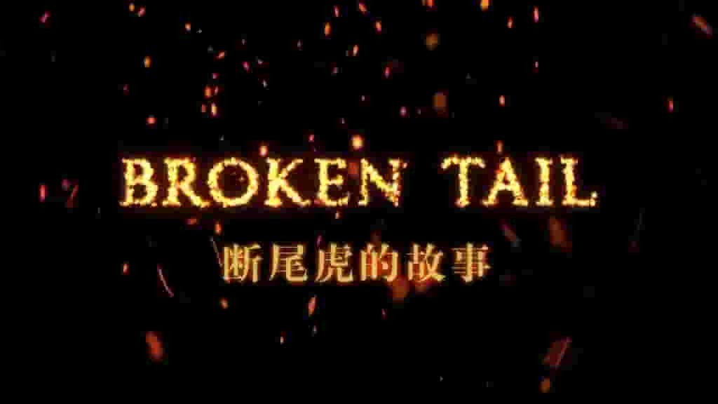 PBS纪录片《老虎“断尾”的最后旅程 Broken Tail A Tiger’s Last Journey 2011》全1集 英语中字 720P高清网盘下载 