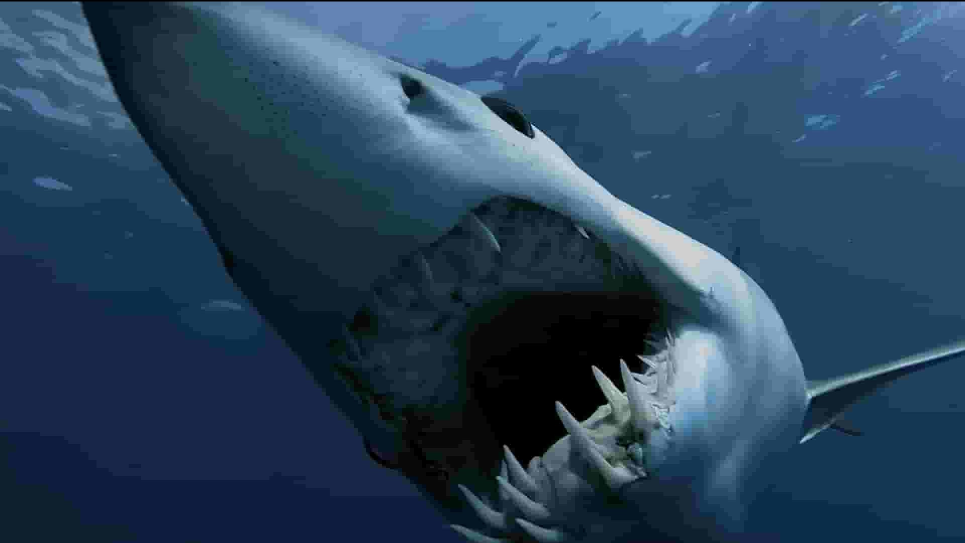 探索频道《怪物真子：新鲜血液 Monster Mako: Fresh Blood 2023》全1集 英语中英双字 1080P高清网盘下载