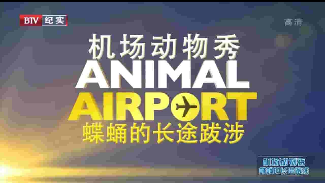 央视纪录片《机场动物秀 Animal Airport》全12集 英语中字 720P高清网盘下载