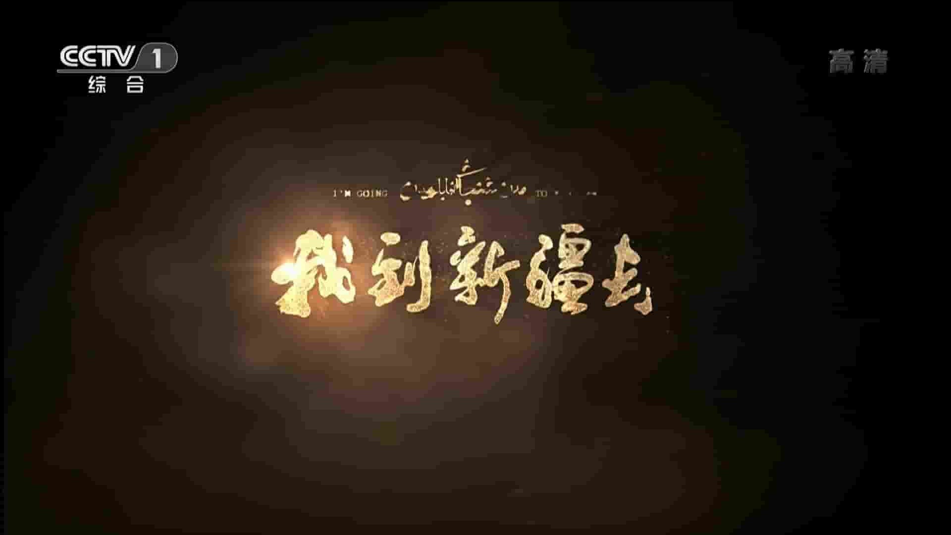 央视纪录片《我到新疆去 2018》全8集 国语中字 720P高清网盘下载