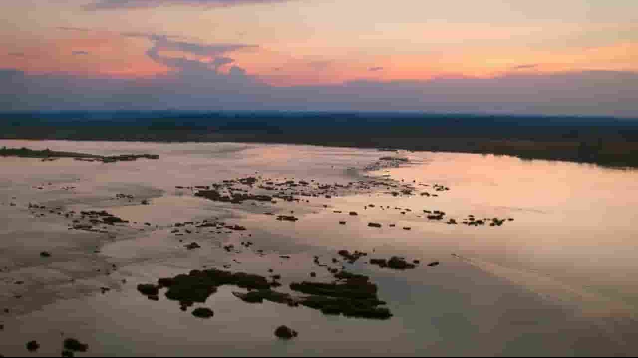 Love Nature纪录片《神秘的湄公河 Mysteries of the Mekong 2018》第1季全10集 英语英字 720P高清网盘下载