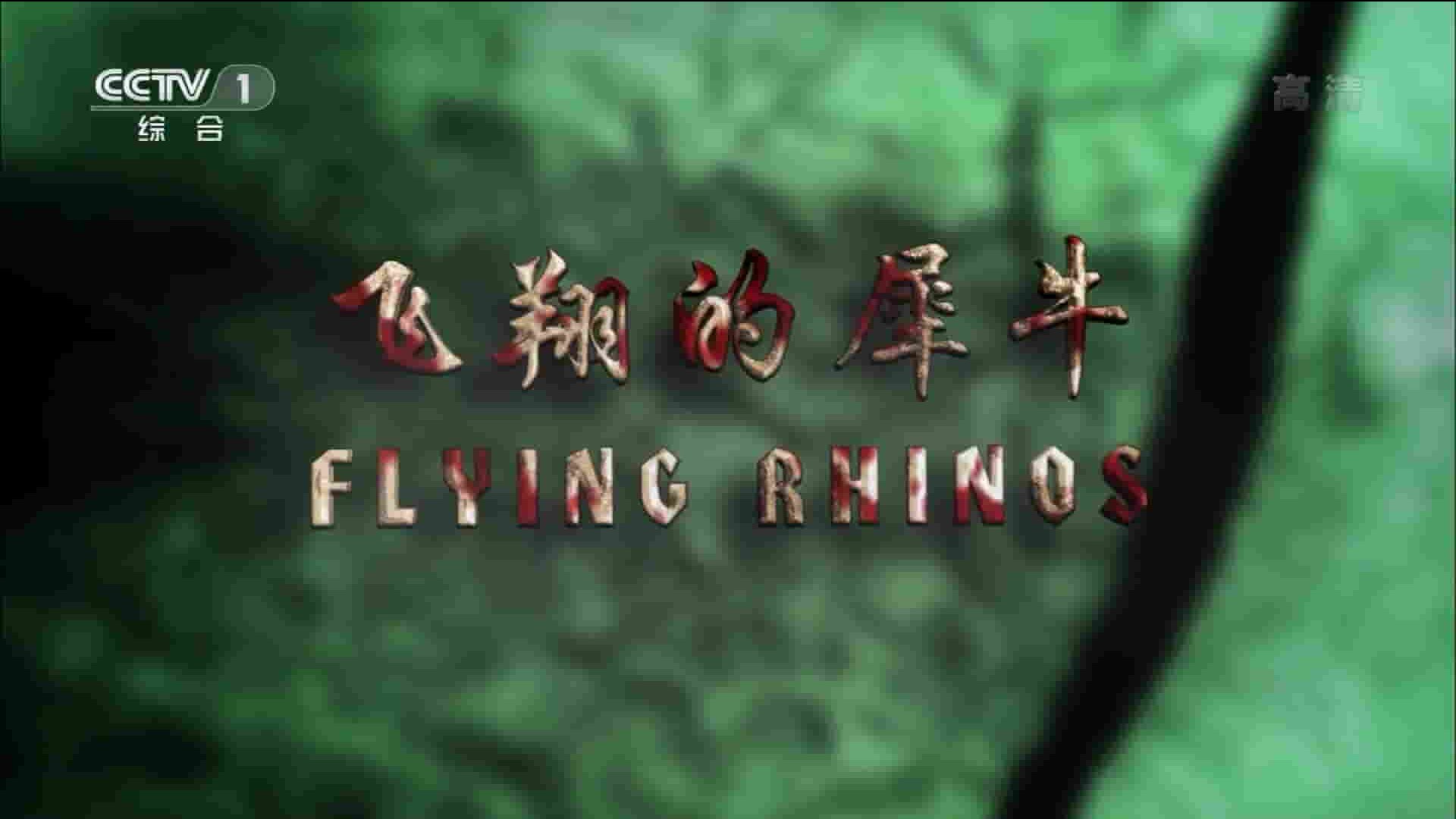 BBC纪录片《飞翔的犀牛 Flight of the Rhino 2013》全1集 国语中字 1080P高清网盘下载