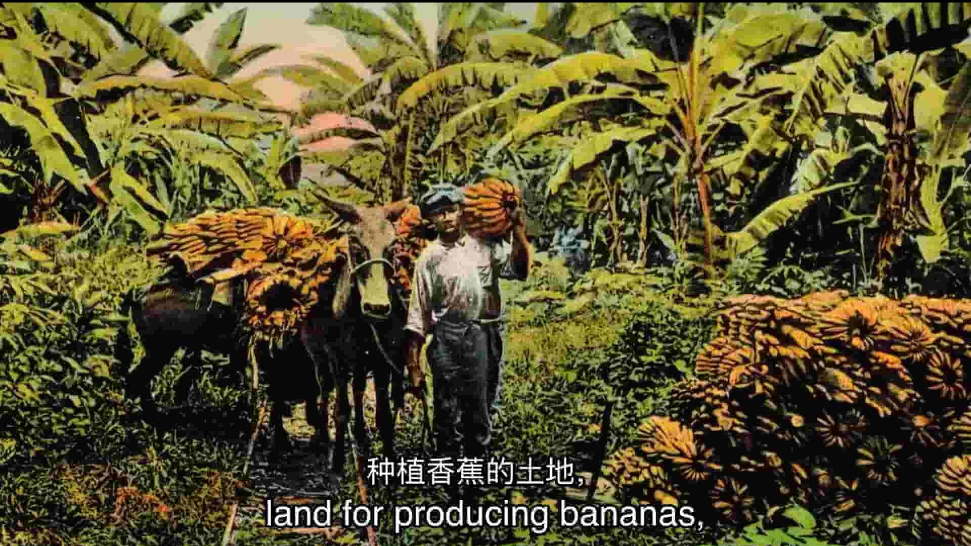 Arte纪录片《当香蕉统治世界 When Banana Ruled 2017》全1集 英语中英双字 1080P高清网盘下载