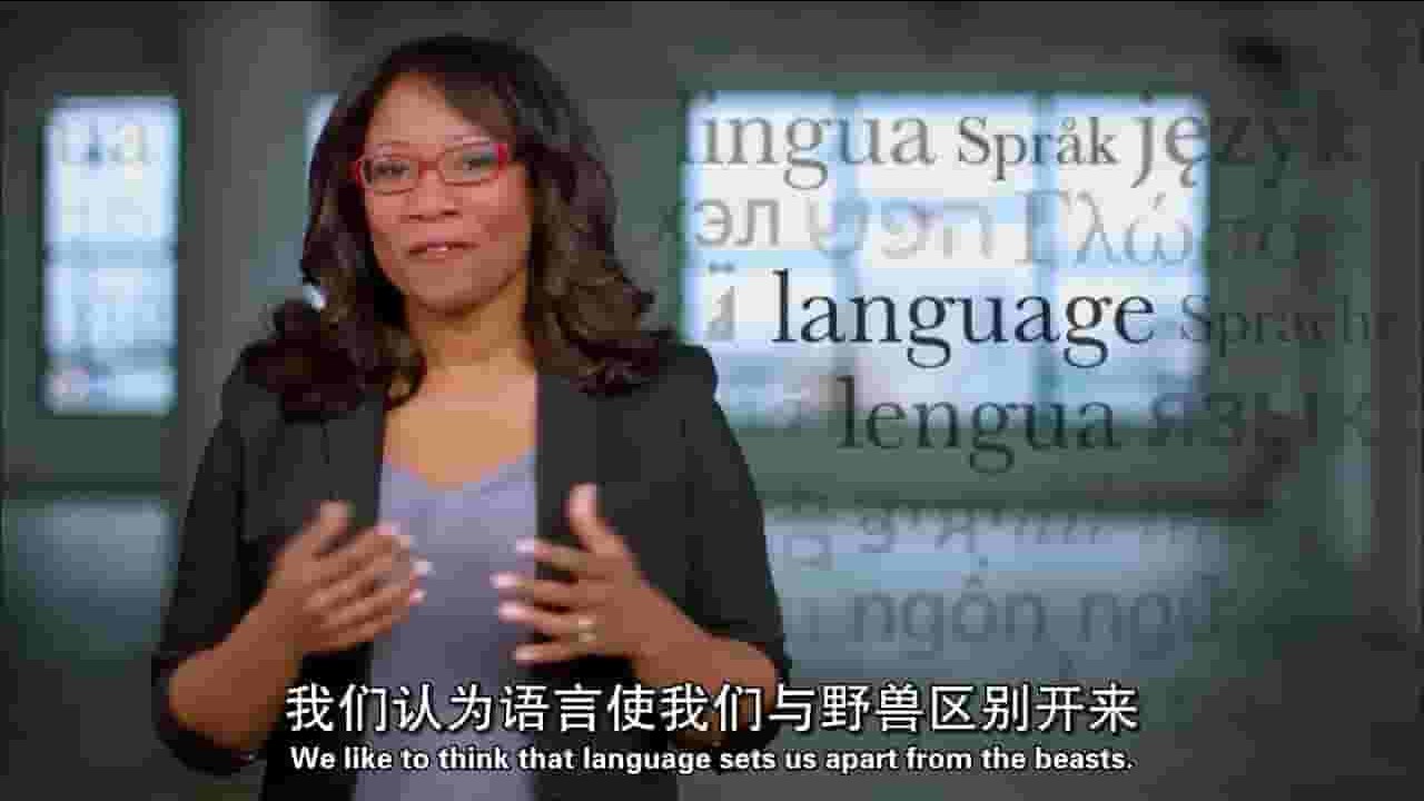 PBS纪录片《奇迹：动物们在说什么 What Are Animals Saying 2018》全1集 英语中字 720P高清网盘下载