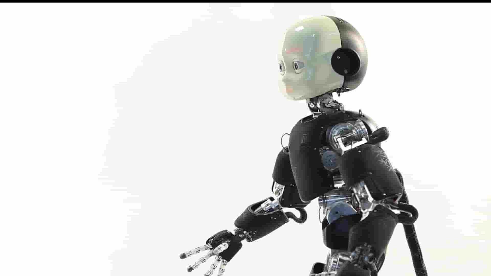 Flame Media纪录片《机器人时代 The Age Of Robots 2016》全6集 英语外挂英字 1080P高清网盘下载