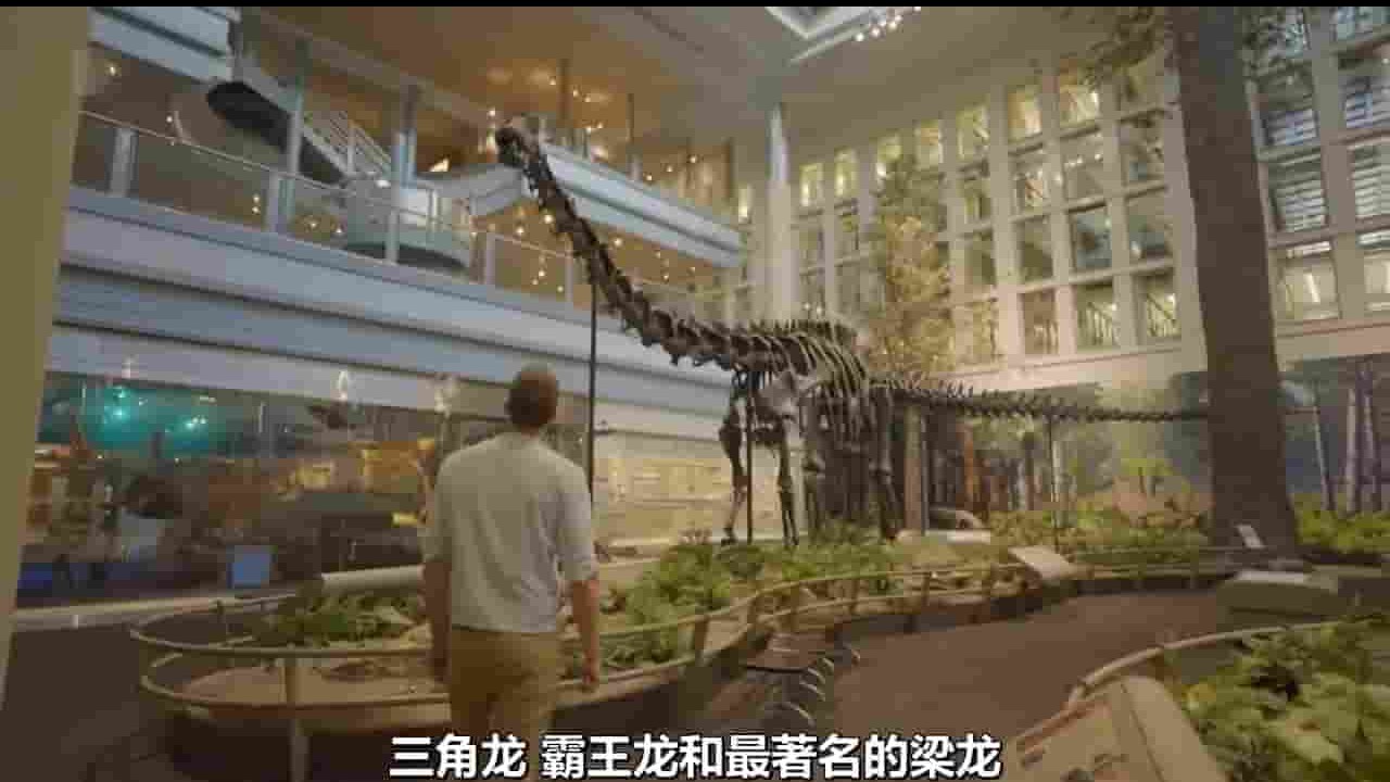 Ch5纪录片《走进恐龙谷 Into Dinosaur Valley with Dan Snow 2022》全1集 英语中字 720P高清网盘下载