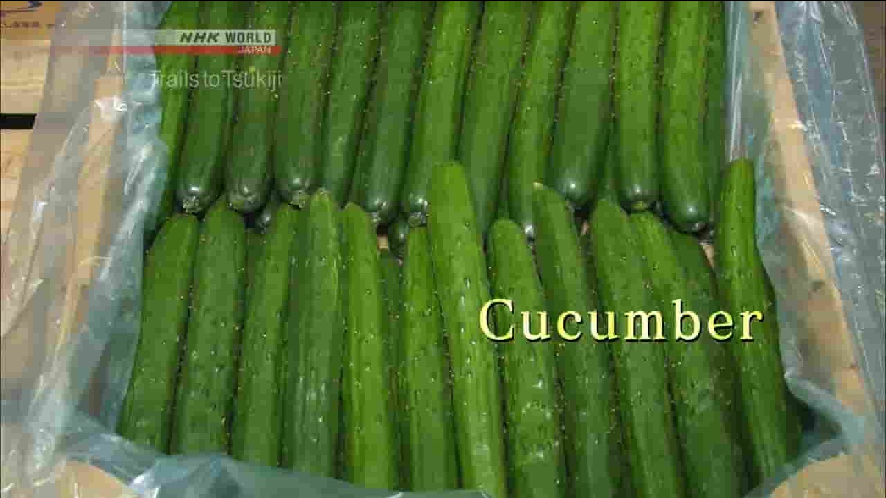 NHK纪录片《筑地足迹—黄瓜 Trails to Tsukiji-Cucumber 2017 》全1集 英语无字 720P高清网盘下载