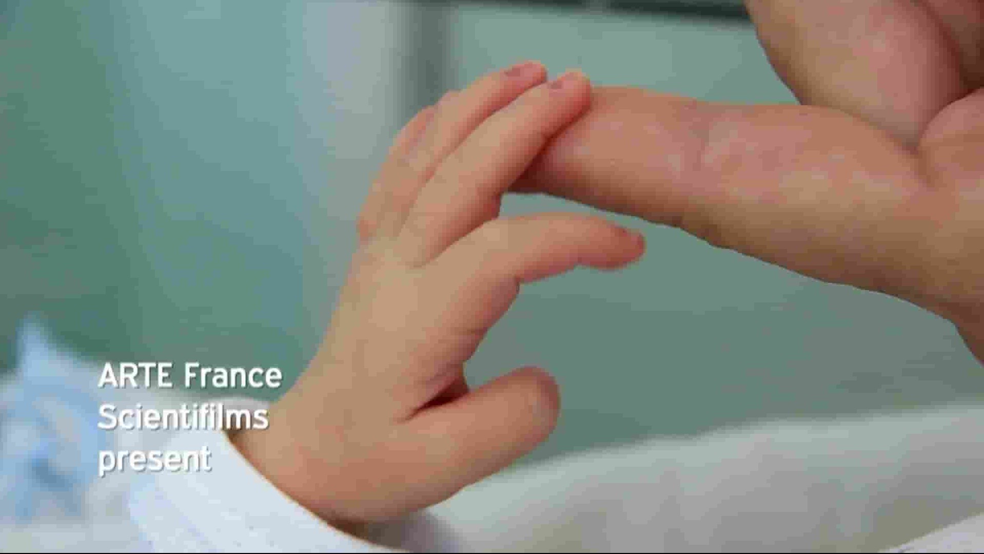 Arte纪录片《受到影响的人类基因 Our Genes Under Influence 2016》全1集 英语外挂英字 1080P高清网盘下载