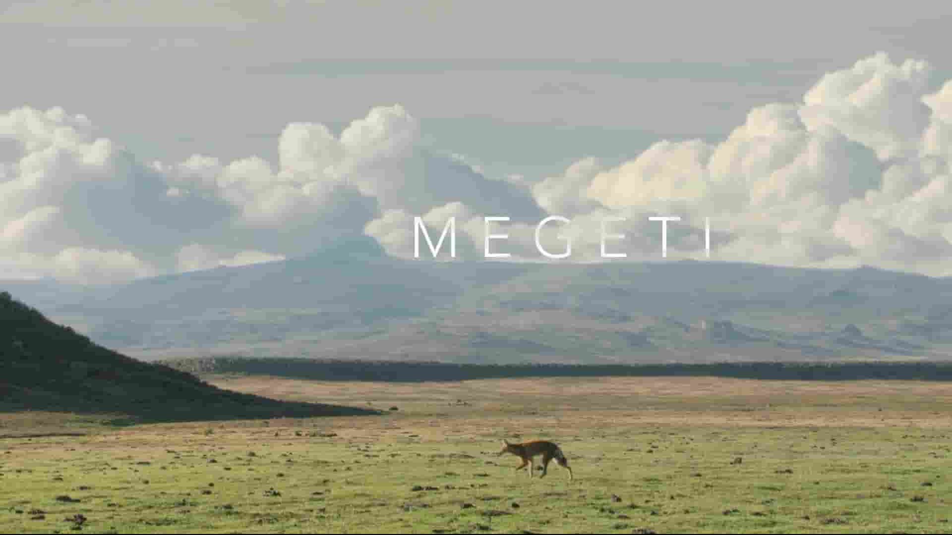 Terra Mater纪录片《Megeti：非洲孤狼 Megeti Africa