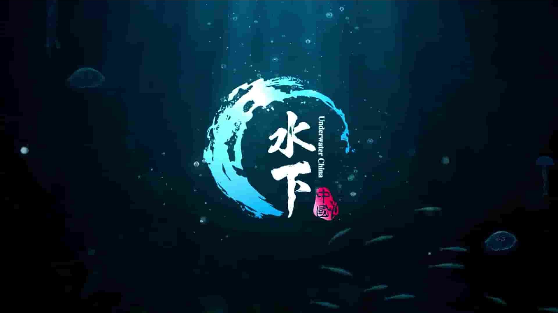 SMG纪录片《水下中国 2019》全1集 国语中字 1080高清网盘下载