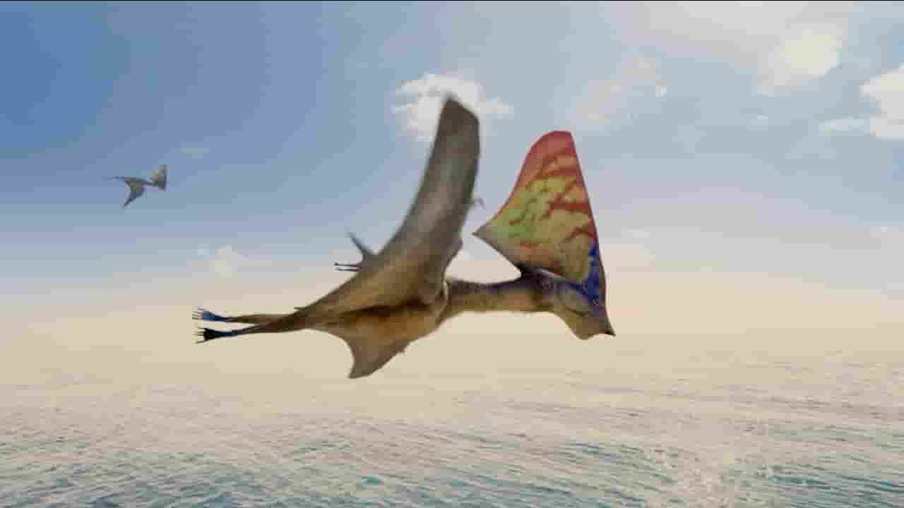 BSkyB纪录片《史前飞翔怪兽 Flying Monsters with David Attenborough 2011》全1集 英语英字 720P高清网盘下载