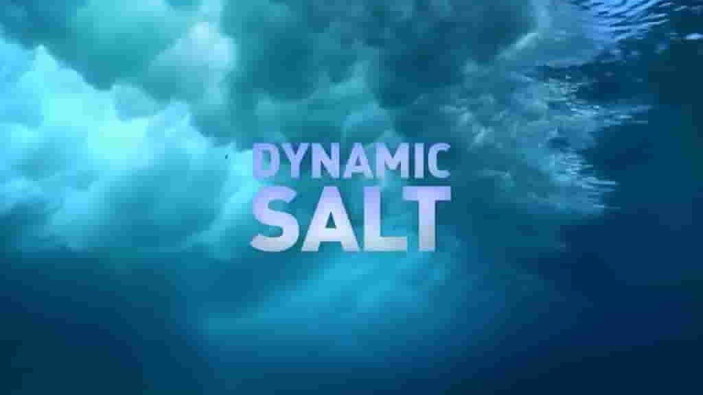 Doc纪录片《动力盐 Dynamic Salt 2015》全10集 英语英字 720P高清网盘下载