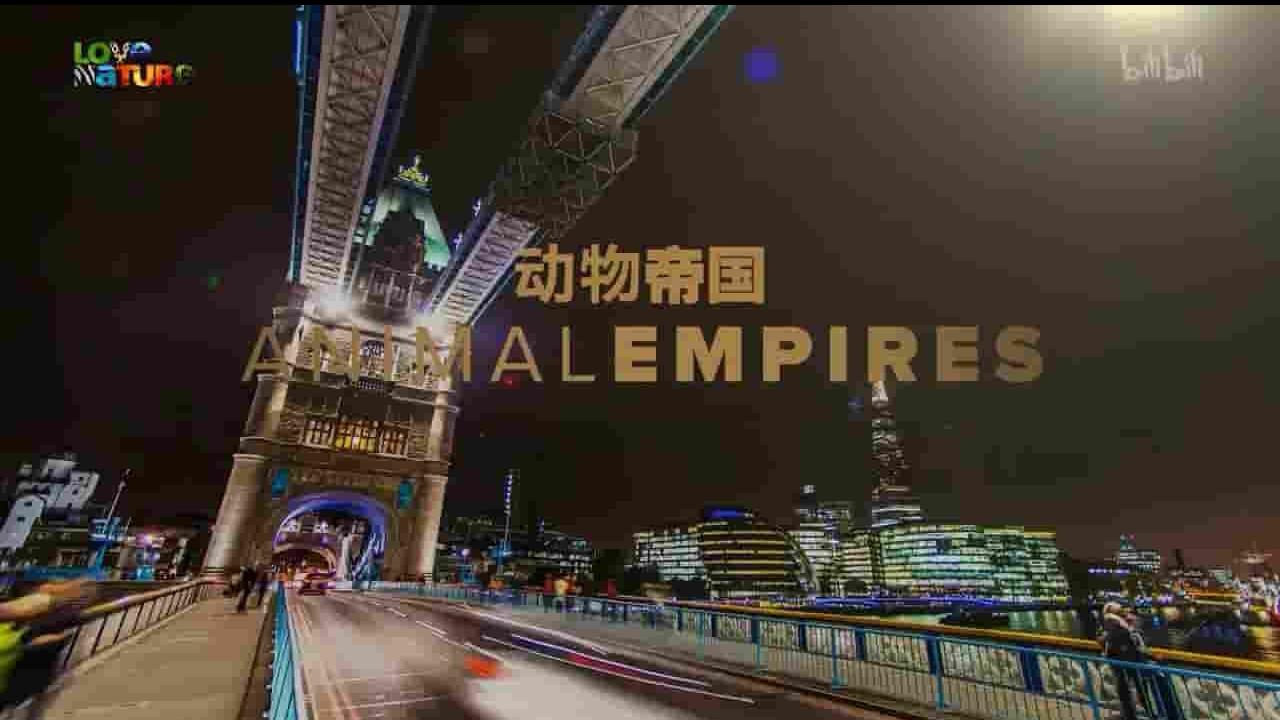斯密森频道《动物帝国 Animal Empires 2016》第1季全6集 英语英字 720P高清网盘下载