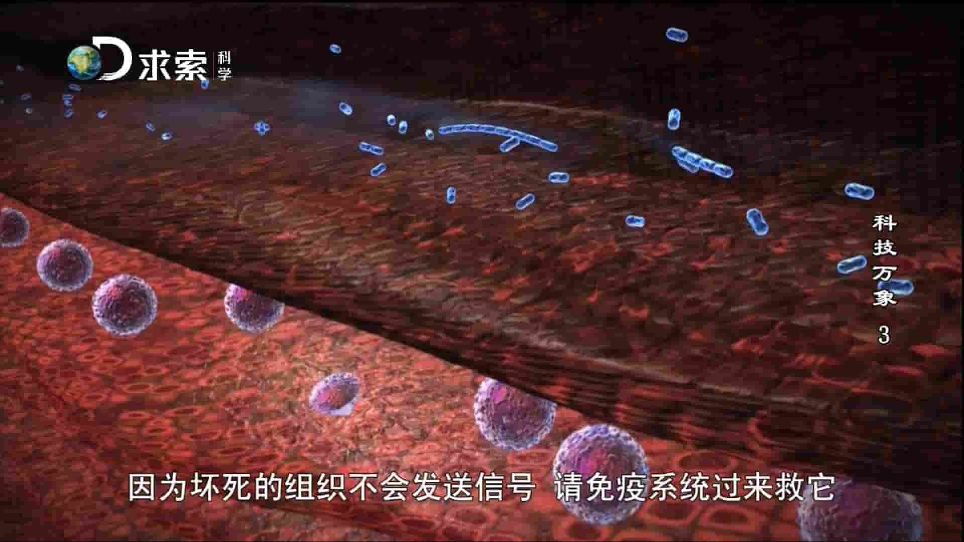 探索频道《科技长征/科技万象 Sci-Trek 2010》全6集 英语中字 1080I高清网盘下载