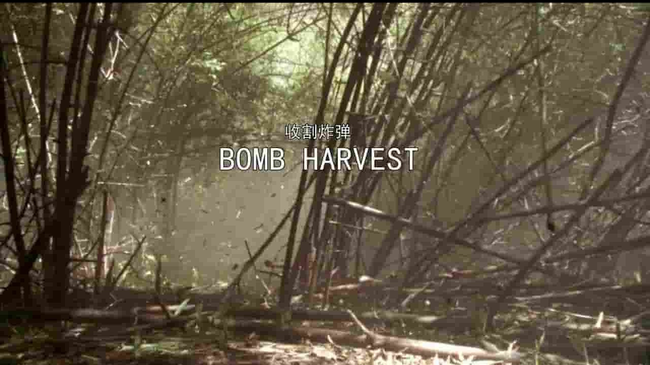 澳大利亚纪录片《收割炸弹 Bomb Harvest 2007》全1集 英语中字 720P高清网盘下载