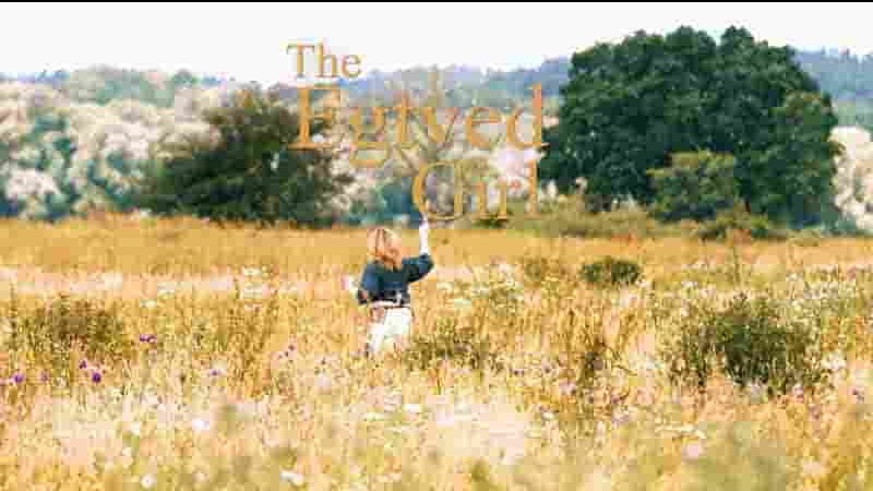  Arte纪录片《艾特维女孩：青铜时代 Egtved Girl 2017》全1集 英语英字 1080P高清网盘下载