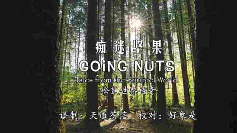 Altayfilm纪录片《痴迷坚果-松鼠世界传奇 Going Nuts Tales from Squirrel World 2019》全1集 英语中英双字 1080P高清网盘下载