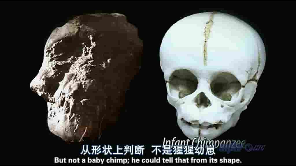 PBS纪录片《人类进化 Becoming Human》全3集 英语中英双字 720p高清网盘下载