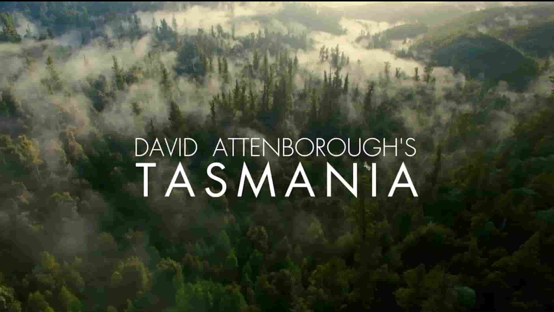  ABC纪录片《大卫·爱登堡的塔斯马尼亚 David Attenborough