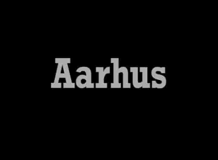 丹麦纪录片《奥胡斯 Aarhus 2005》全1集 英语中字 720p高清网盘下载