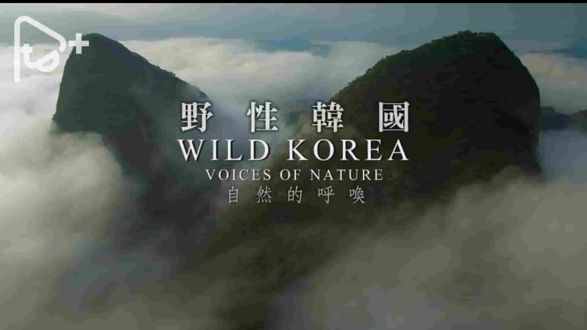 PTS纪录片《野性韩国 Wild Korea 2019》全2集 国语中字 1080P高清网盘下载