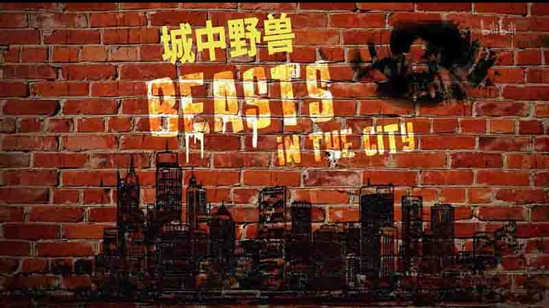 澳大利亚纪录片《城中野兽 Beasts in the City 2020》全1集 英语中英双字 1080P高清网盘下载