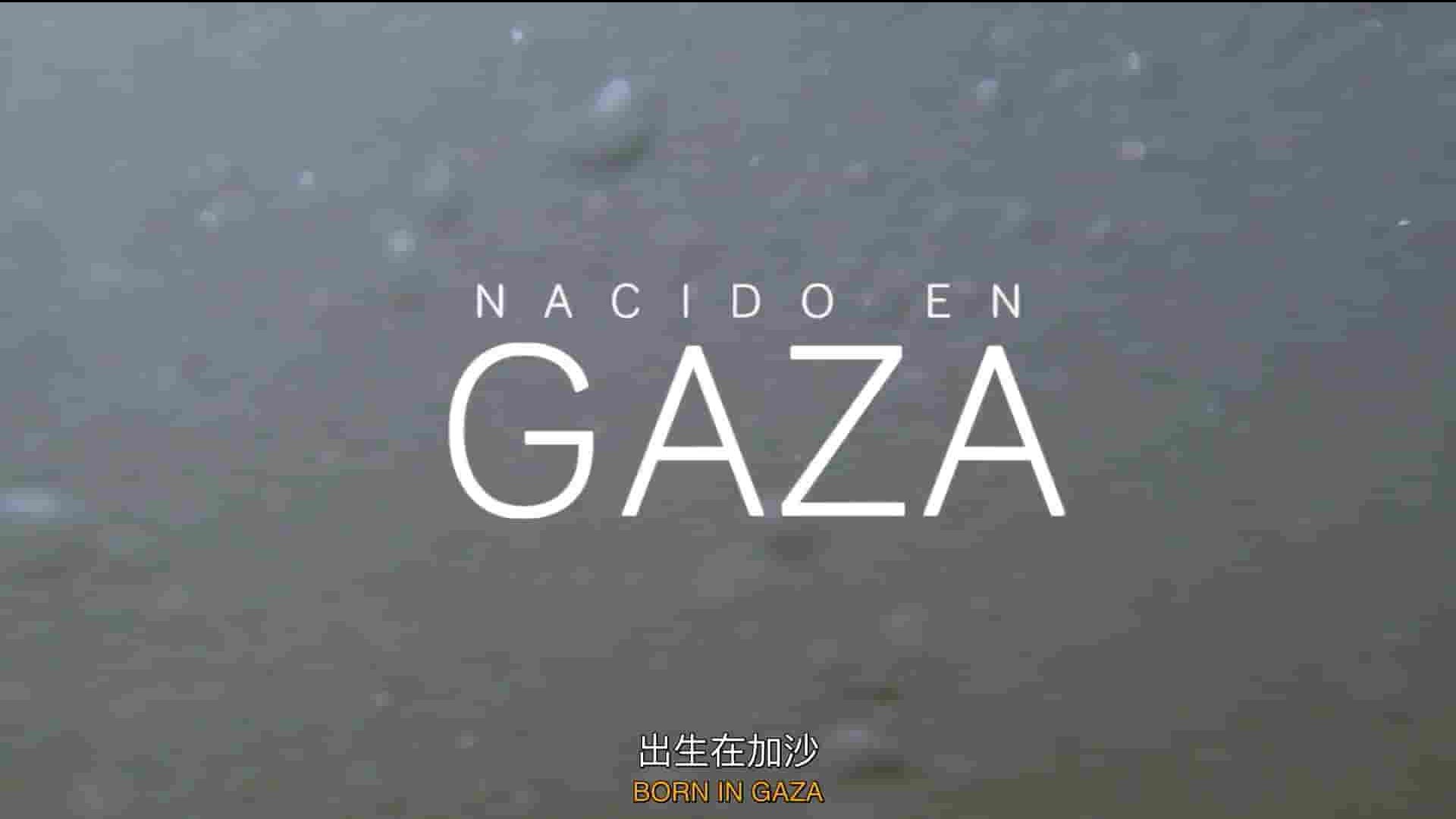 西班牙纪录片《生于加沙 Nacido en Gaza 2014》全1集 英语中英双字 1080P高清网盘下载