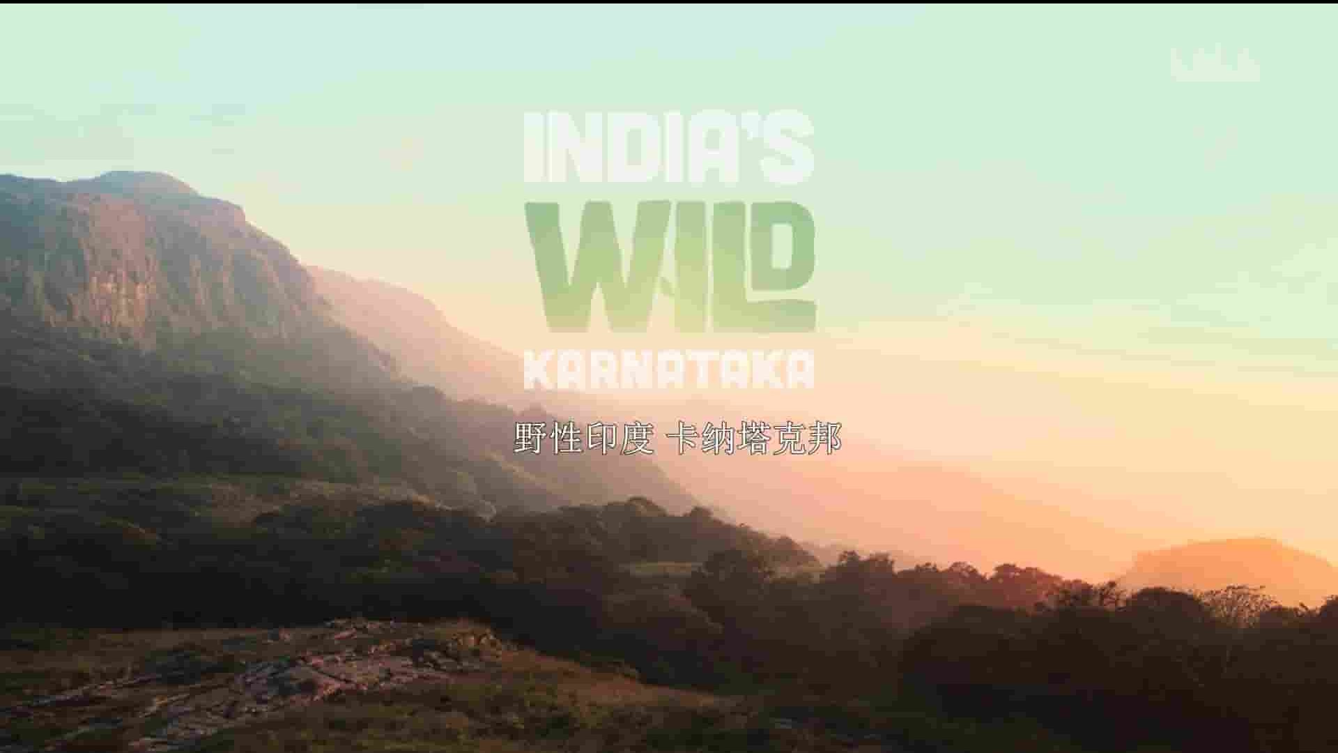 印度纪录片《野性印度卡纳塔克邦 Wild Karnataka 2019》全1集 英语中英双字 1080P高清网盘下载