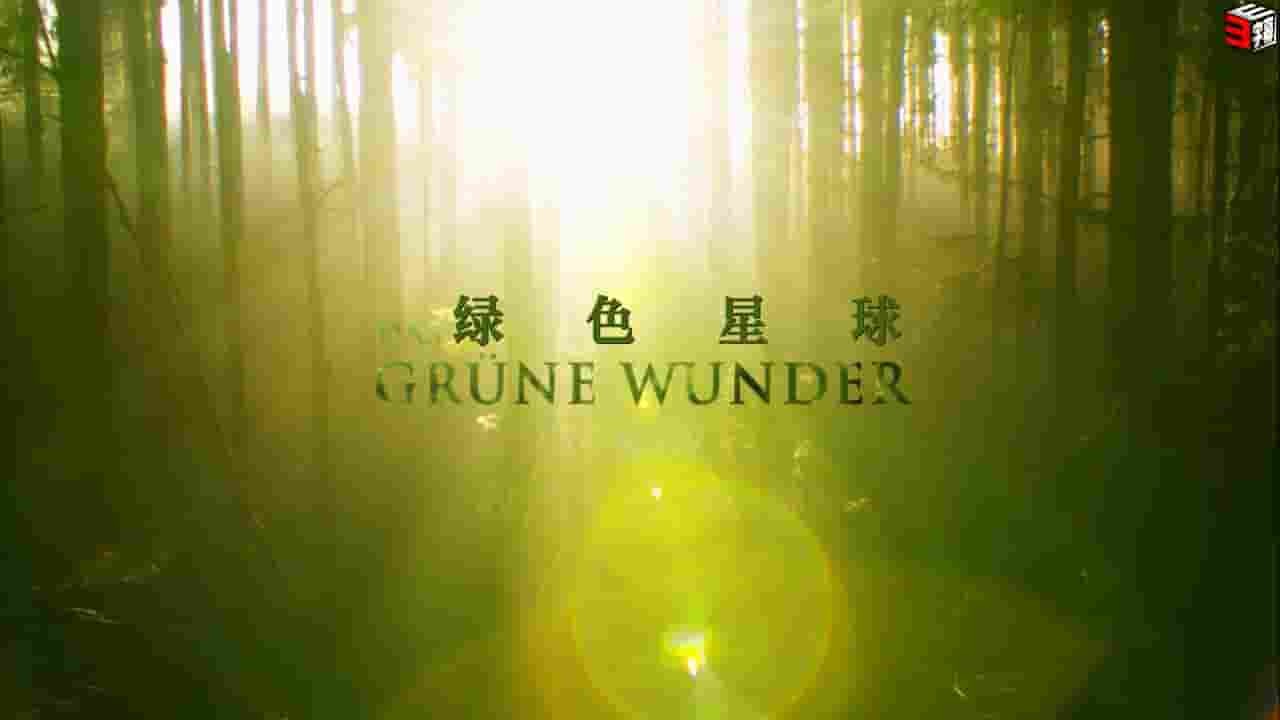 德国纪录片《大自然之舞 Das grüne Wunder - Unser Wald 2012》全1集 英语中英双字 720P高清网盘下载