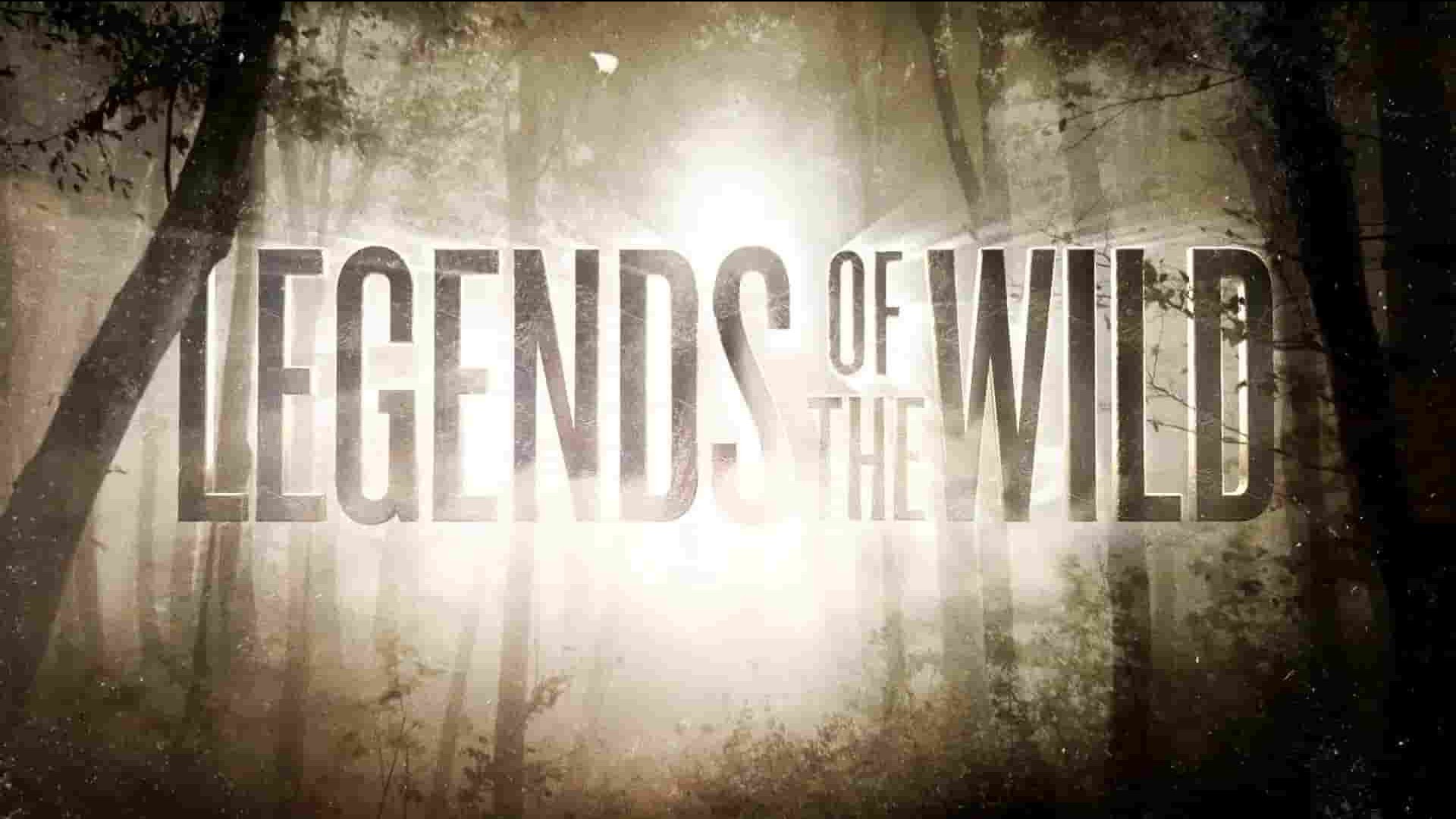 探索频道《荒野传奇 Legend of the Wild 2020》第1季全6集 英语中英双字 1080P高清网盘下载