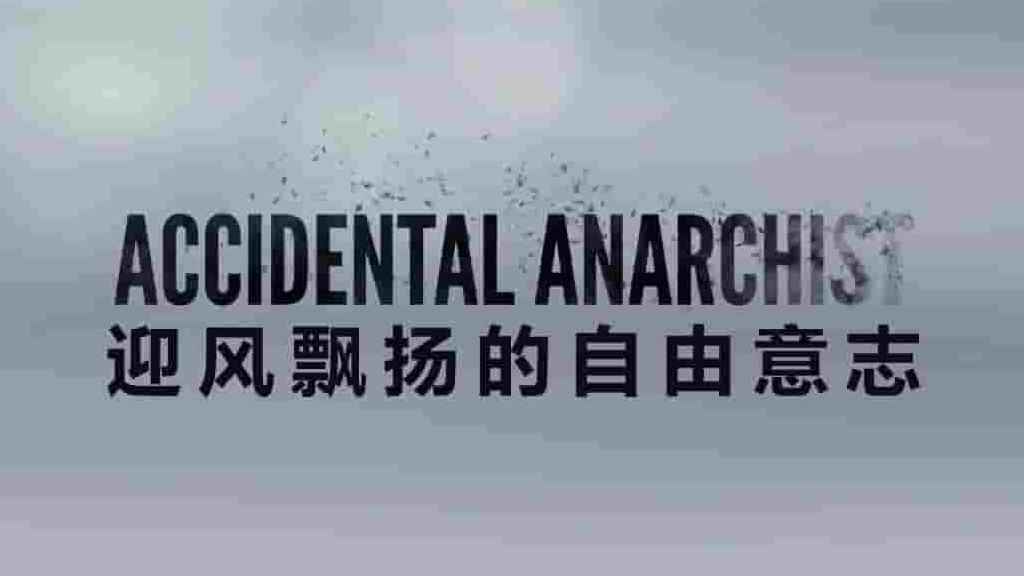 英国纪录片《偶遇安那其之民 Accidental Anarchist 2017》全1集 英语中字 720P高清网盘下载 