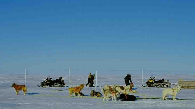 澳大利亚纪录片《北极奇观 Wonders of the Arctic》全1集 英语无字 4K超高清网盘下载