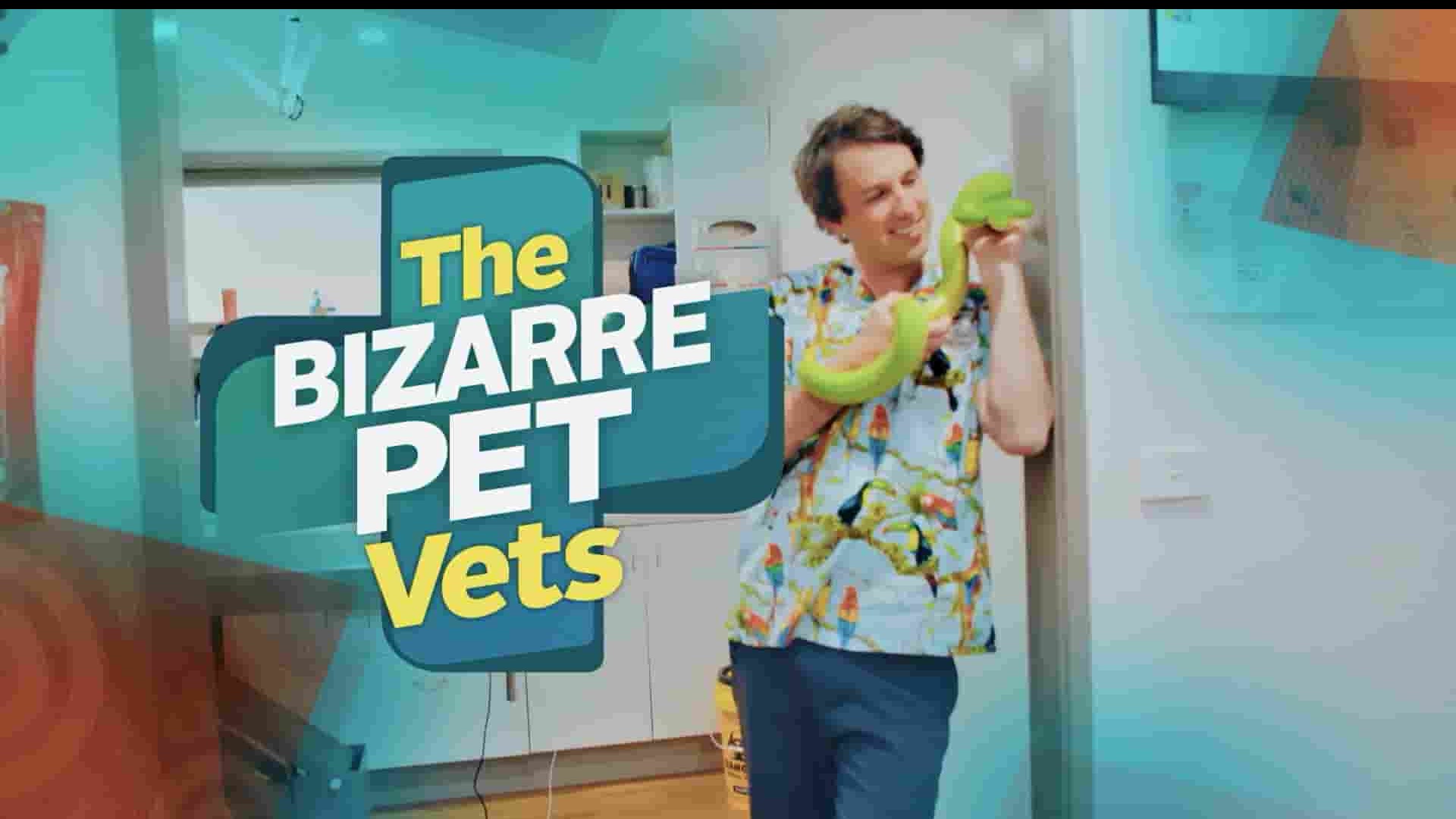 澳大利亚纪录片《奇异的宠物兽医 The Bizarre Pet Vets 2022》第1季全6集 英语中英双字 1080P高清网盘下载