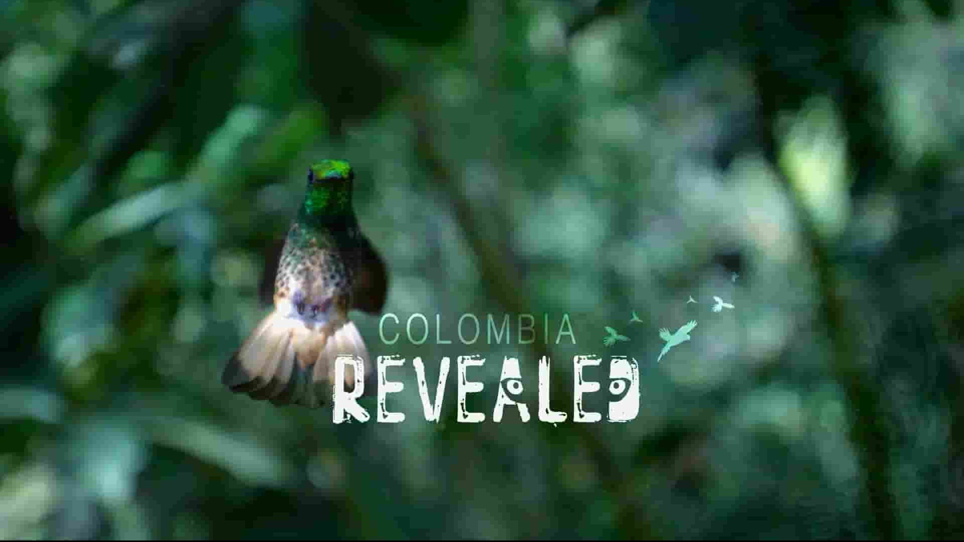 美国纪录片《野性哥伦比亚 Wild Colombia Revealed 2015》全1集 英语中英双字 1080P高清网盘下载 
