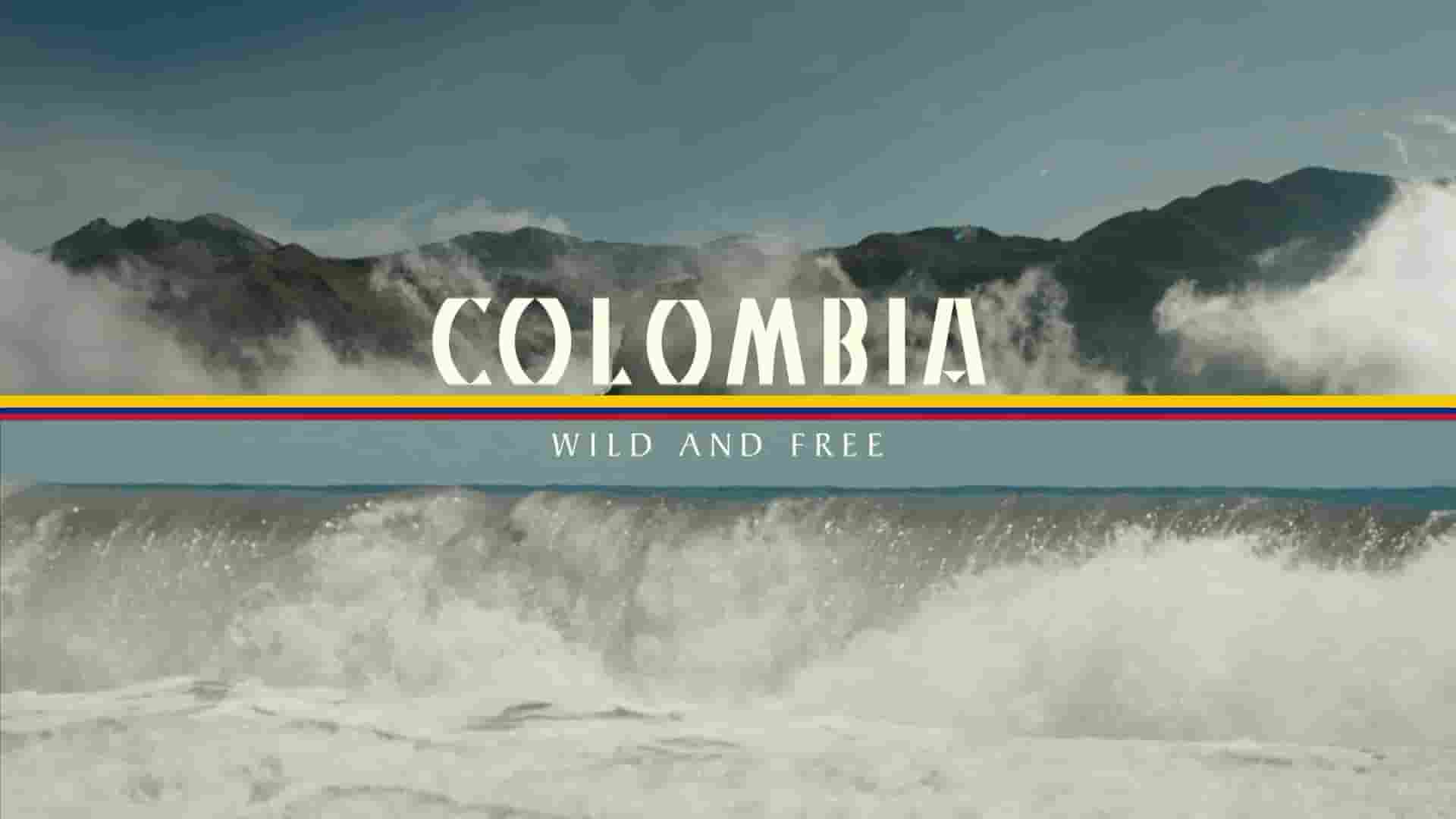 PBS纪录片《哥伦比亚 - 野性与自由 Colombia - Wild and Free 2022》第1季全2集 英语中英双字 1080P高清网盘下载