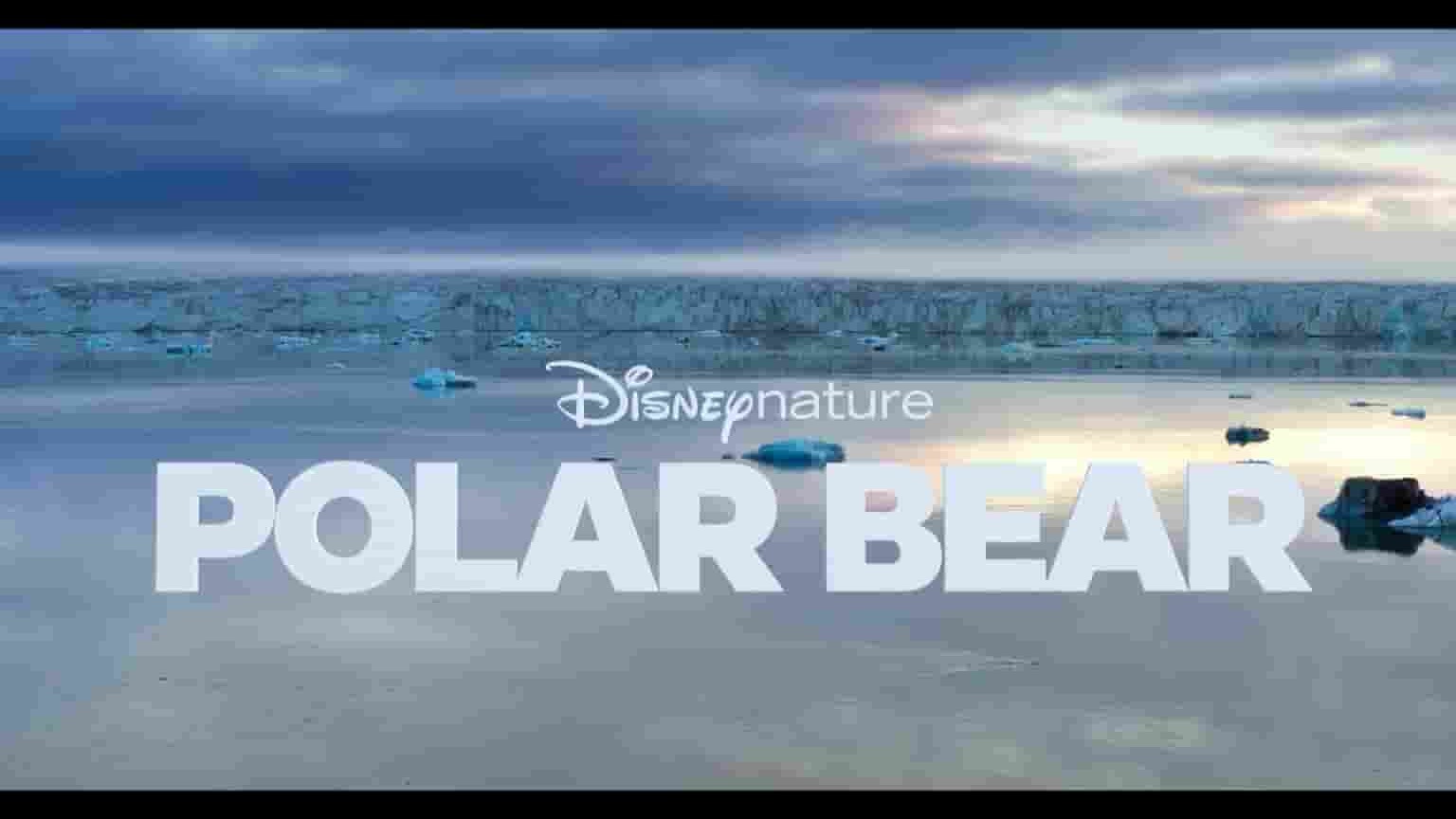 迪士尼纪录片《北极熊 Polar Bear 2022》全1集 英语中字 1080P高清网盘下载