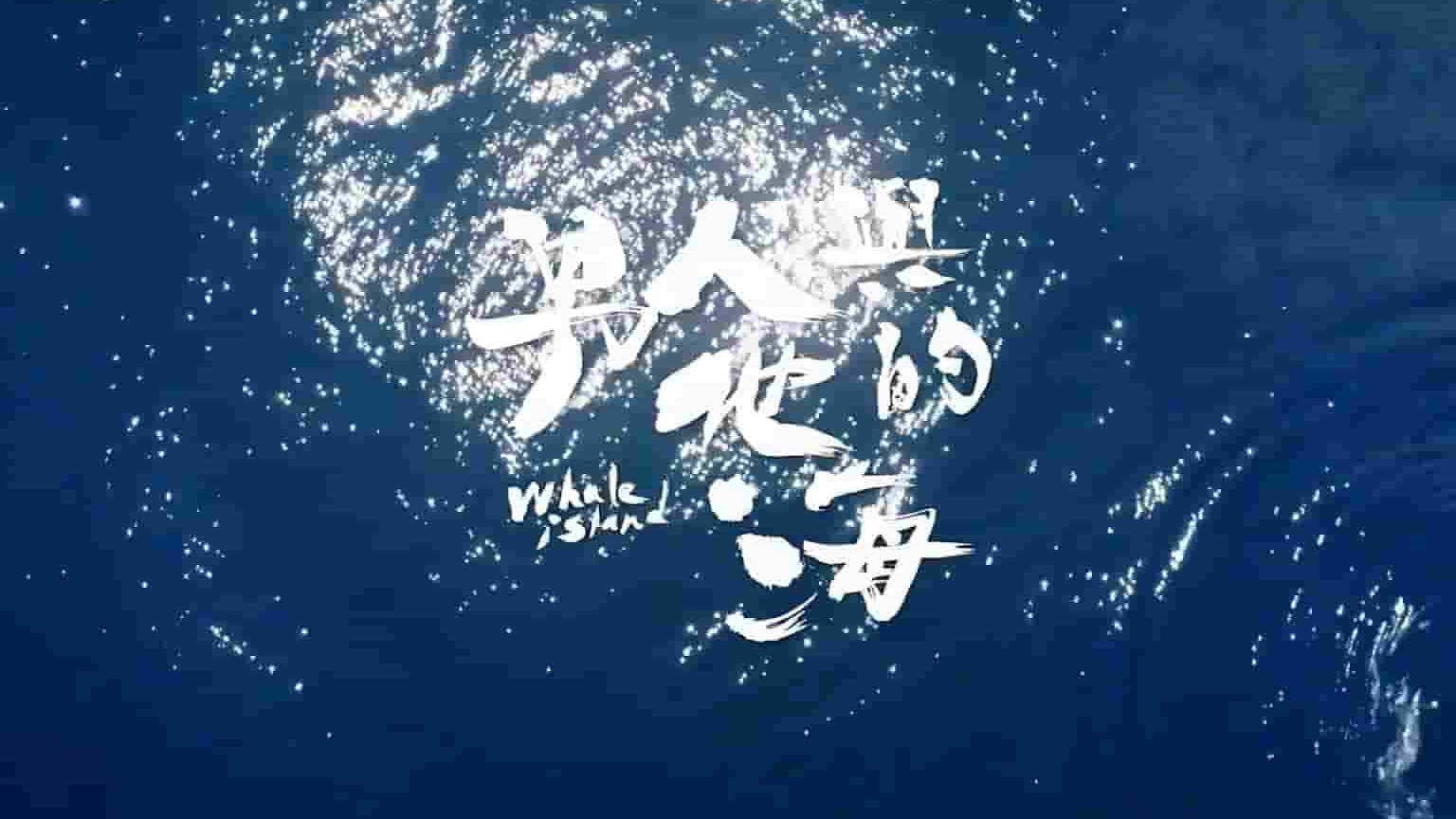 台湾纪录片《男人与他的海 Whale Island 2020》全1集 国语中字 1080P高清网盘下载