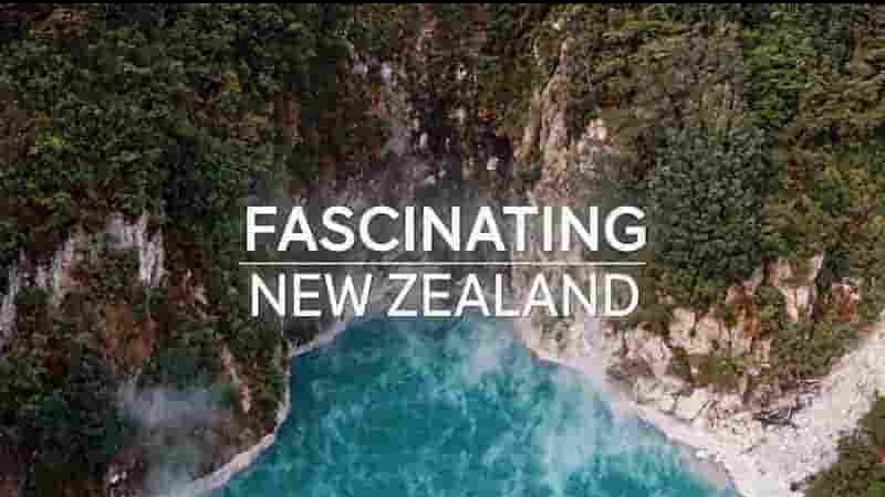 ZDF纪录片《迷人的新西兰 Fascinating New Zealand 2020》全1集 英语英字 1080P高清网盘下载