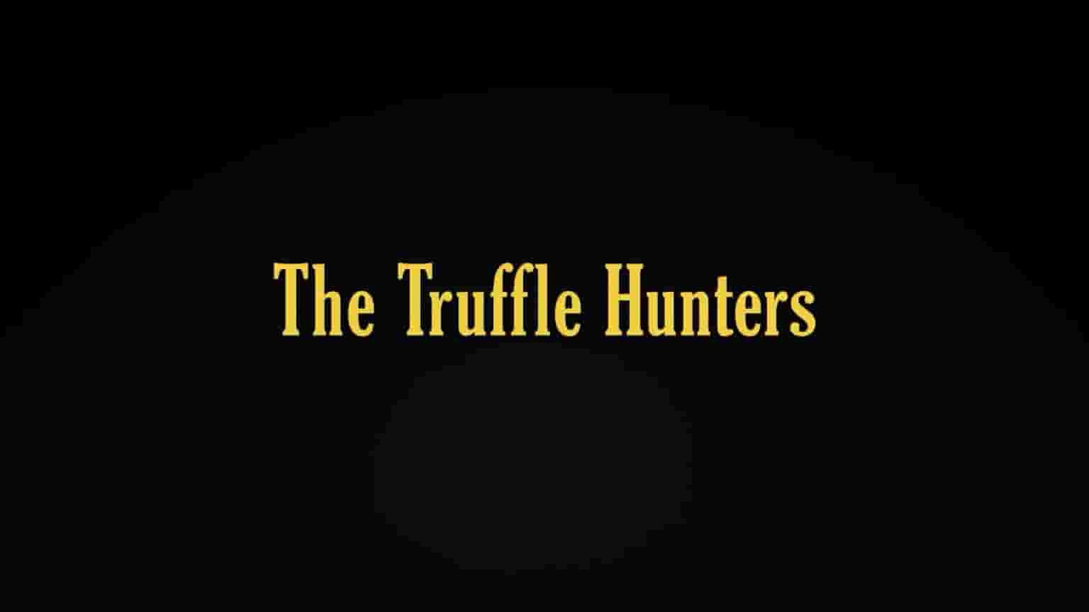意大利纪录片《松露猎人 The Truffle Hunters 2020》全1集 英语中字 1080P高清网盘下载