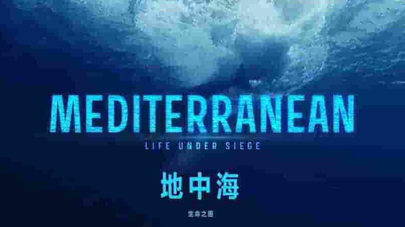 法国纪录片《地中海 Mediterranean: Life Under Siege 2022》全6集 英语中字 1080P高清网盘下载
