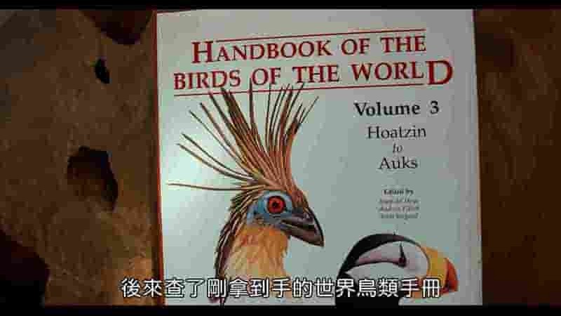 台湾纪录片《寻找神话之鸟 Enigma: The Chinese Crested Tern 2021》全1集 国语中字 1080P高清网盘下载