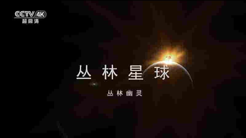 央视纪录片《丛林星球-丛林幽灵 Jungle Planet》全1集 国语中字 4K超高清网盘下载