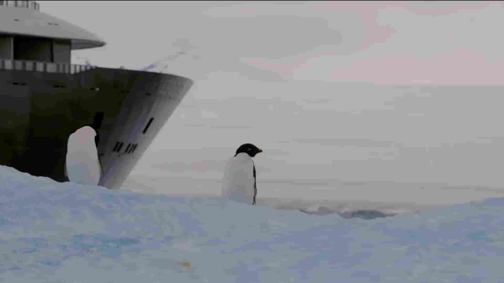 探索频道《海事大师：南极探险 Maritime Masters: Expedition Antarctica 2023》全5集 英语中英双字 1080P高清网盘下载