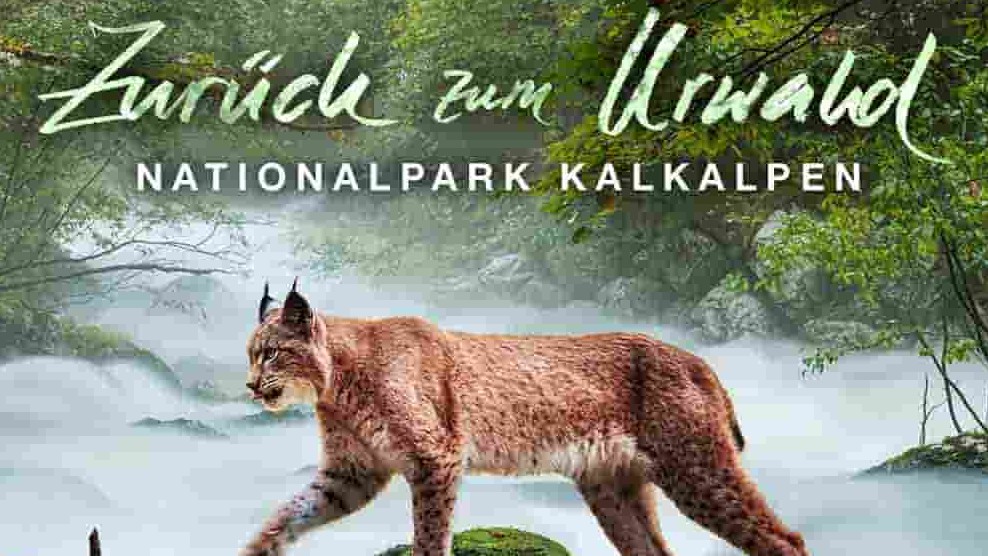 奥地利纪录片《回归远古森林：卡尔克阿尔卑斯国家公园 Zurück zum Urwald - Nationalpark Kalkalpen 2015》全1集 德语中字 4K超高清网盘下载