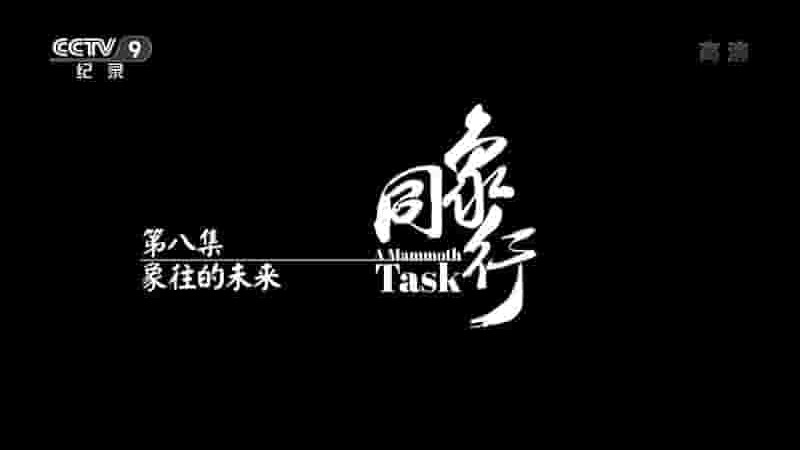 央视纪录片《同象行 A Mammoth Task 2021》全8集 国语中字 1080i高清网盘下载