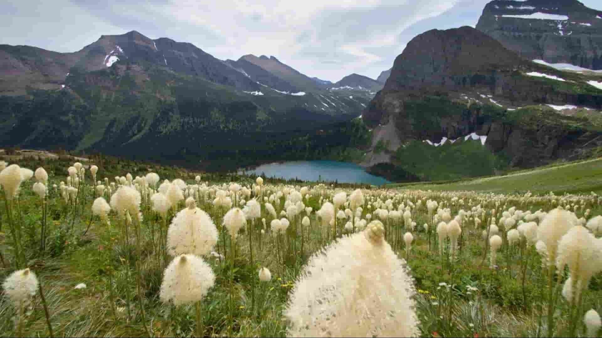 PBS纪录片《生于落基山脉 Born in the Rockies 2021》全2集 英语中英双字 1080P高清网盘下载